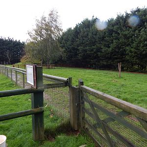 South American tapir enclosure 051122