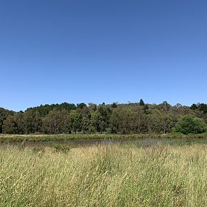 South End of Lake Canobolas