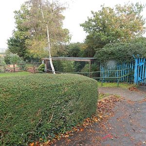 View towards Raccoon dog and Mara/Agouti enclosures 051122