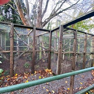 Scottish wildcat enclosure 051122