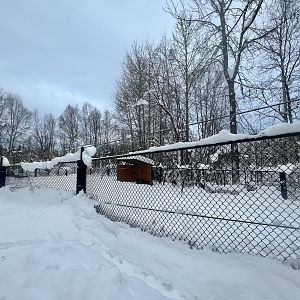 Second Moose Exhibit