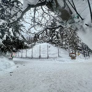 Rocky Mountain Goat Exhibit