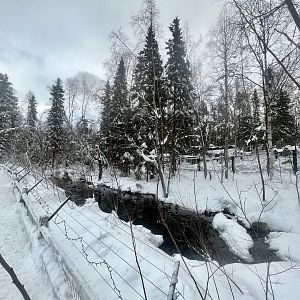 Creek through waterfowl exhibit