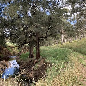 Verandah Cave Walking Track