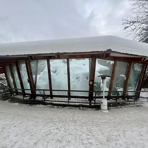 Snow Leopard Exhibit