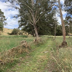 Verandah Cave Walking Track- Flood Debris