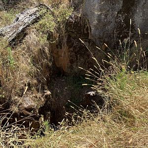 Tunnel Cave (west mouth)