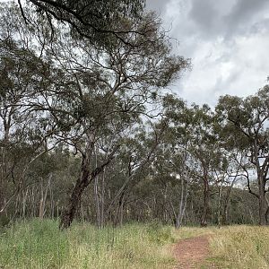 Arch Cave Loop Walking Track