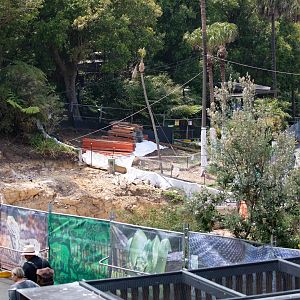 Construction of the new Reptile House