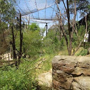 Arid aviary