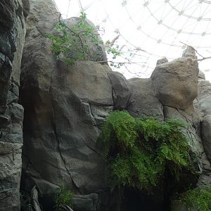 Rockwork in the desert dome