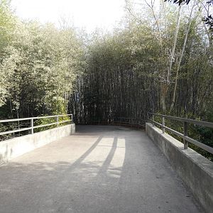 path into Africa section