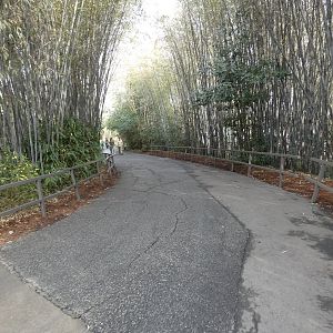 Path into Africa section