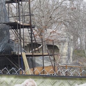 Baboon exhibit renovation progress