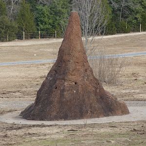 Fake termite mound 2