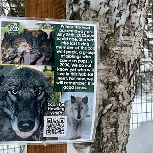 The local extinction of the Grey Wolf…