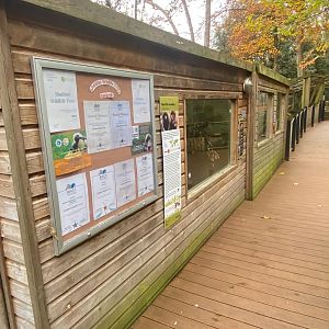 Red titi enclosure 111222