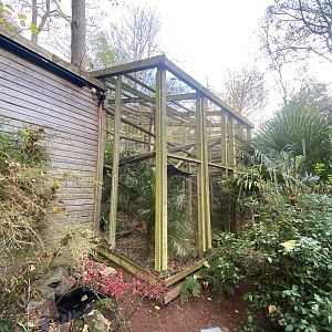 Yellow-breasted capuchin enclosure 111222