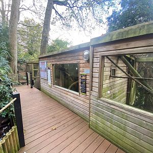 Red titi enclosure 111222