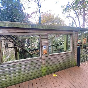 Red titi enclosure 111222