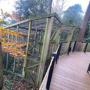 Common squirrel monkey enclosure 111222