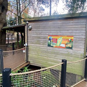 Common squirrel monkey enclosure 111222