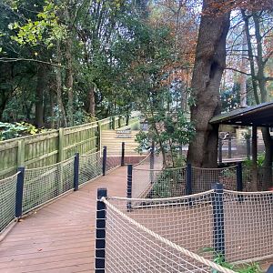View towards Meerkat enclosure 111222