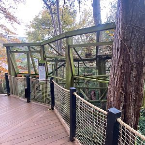 Common squirrel monkey enclosure 111222