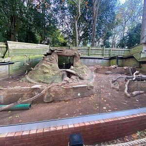 Meerkat enclosure 111222