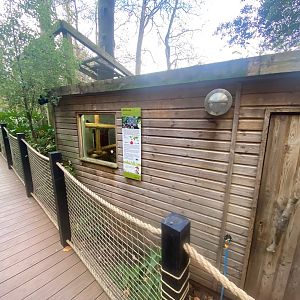 Binturong enclosure 111222