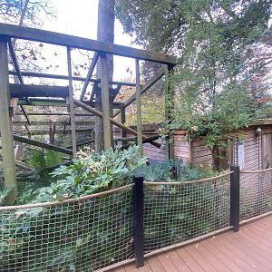 Binturong enclosure 111222