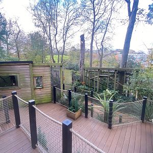 View towards Binturong enclosure 111222