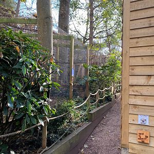 View towards Margay enclosure 111222
