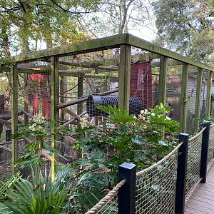 View back towards Yellow-breasted capuchin enclosure 111222