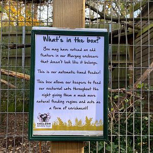 Enrichment sign for Margays 111222