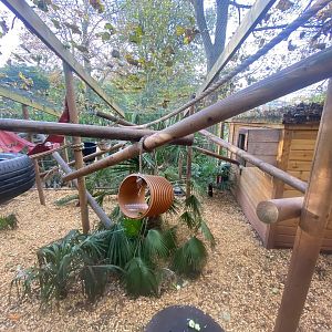 Red ruffed lemur enclosure 111222