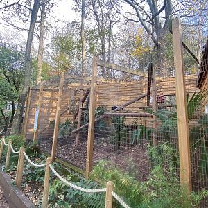 Ring-tailed lemur enclosure 111222