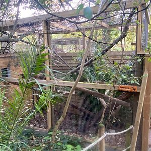 Aviary without signage 111222