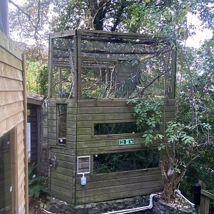 Cottontop tamarin enclosure 111222