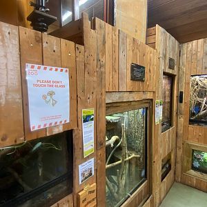 Tropical room 111222