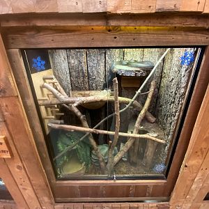 Savu python exhibit 111222