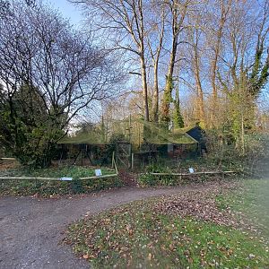 Scarlet Ibis aviary 161222