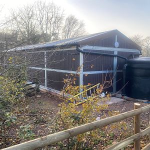 New building where peccaries used to live 161222