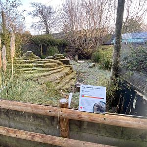 Short-beaked echidna enclosure 161222