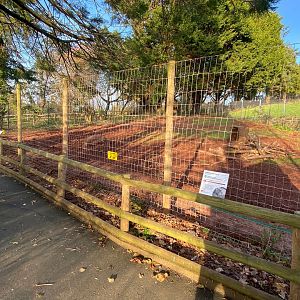 Collared peccary enclosure 161222