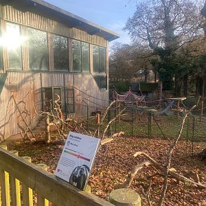 Monkey Heights- King colobus enclosure 161222