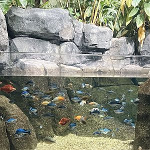 PPG Aquarium