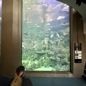 PPG Aquarium