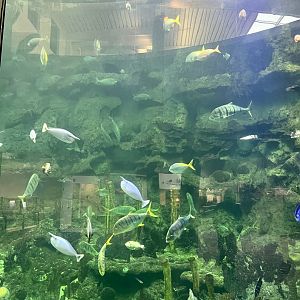 PPG Aquarium
