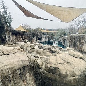 Polar Bear Exhibit